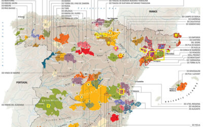 En la XV Edición, El Concurso Internacional de Vinos VinDuero-VinDouro también premia a las Denominaciones de Origen e Indicaciones Geográficas Protegidas con los mejores vinos de cada categoría