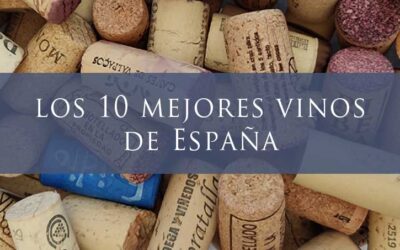 Los 10 mejores vinos de España 2020
