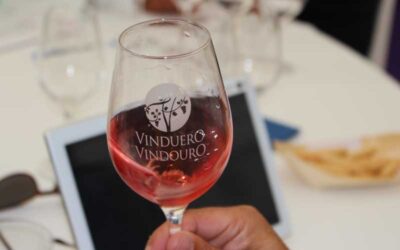 El plazo de inscripción para participar en los Premios VinDuero-VinDouro 2021 finalizará el 15 de julio