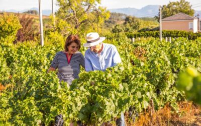 El vino de paraje, Casares, de Estévez Bodegas y Viñedos premio Pascual Herrera 2021