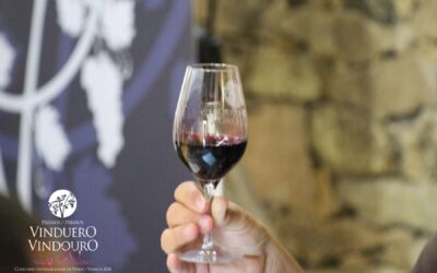 2 vinos de la provincia de Salamanca galardonados en Premios VinDuero-VinDouro 2024